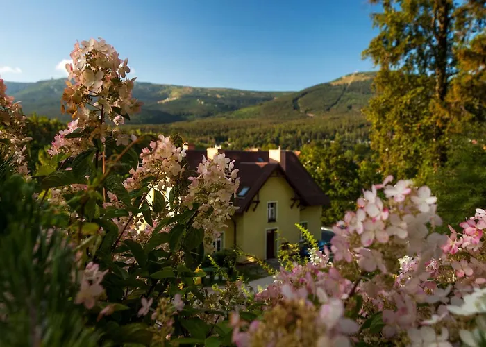 Apartamentowiec Panorama Gor Center Family&pet-friendly *