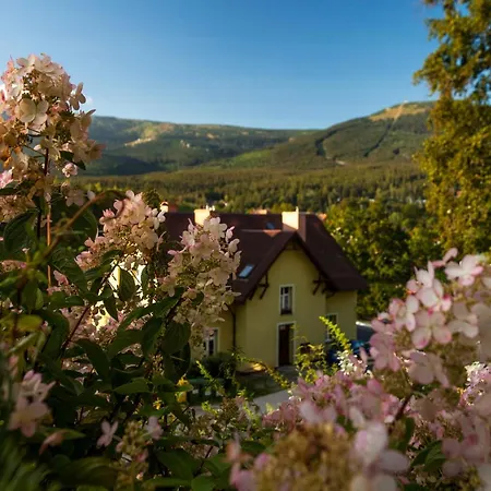 Apartamentowiec Panorama Gor Center Family&pet-friendly *