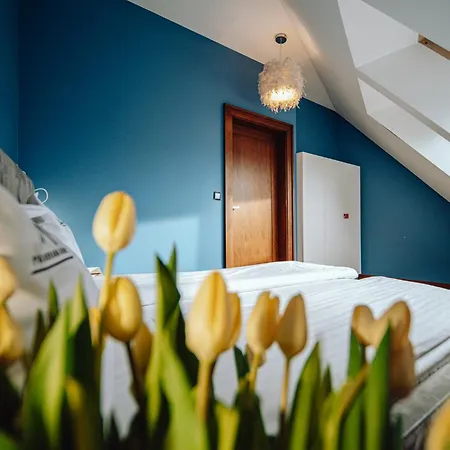 Apartment Apartamentowiec Panorama Gor Center Family&pet-friendly