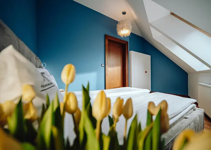 Apartment Apartamentowiec Panorama Gor Center Family&pet-friendly